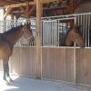 Stall024 1920w Stall024 1920w