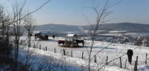 Winterpaddock2 1920w Winterpaddock2 1920w
