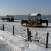 Winterpaddock3 1920w Winterpaddock3 1920w